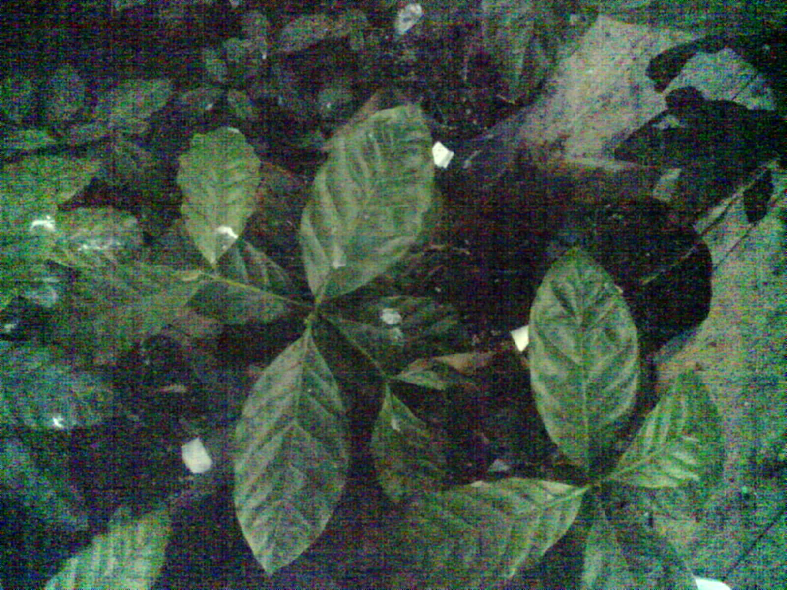 2026-05-25_18-04-06_6a14b946761a1.jpg