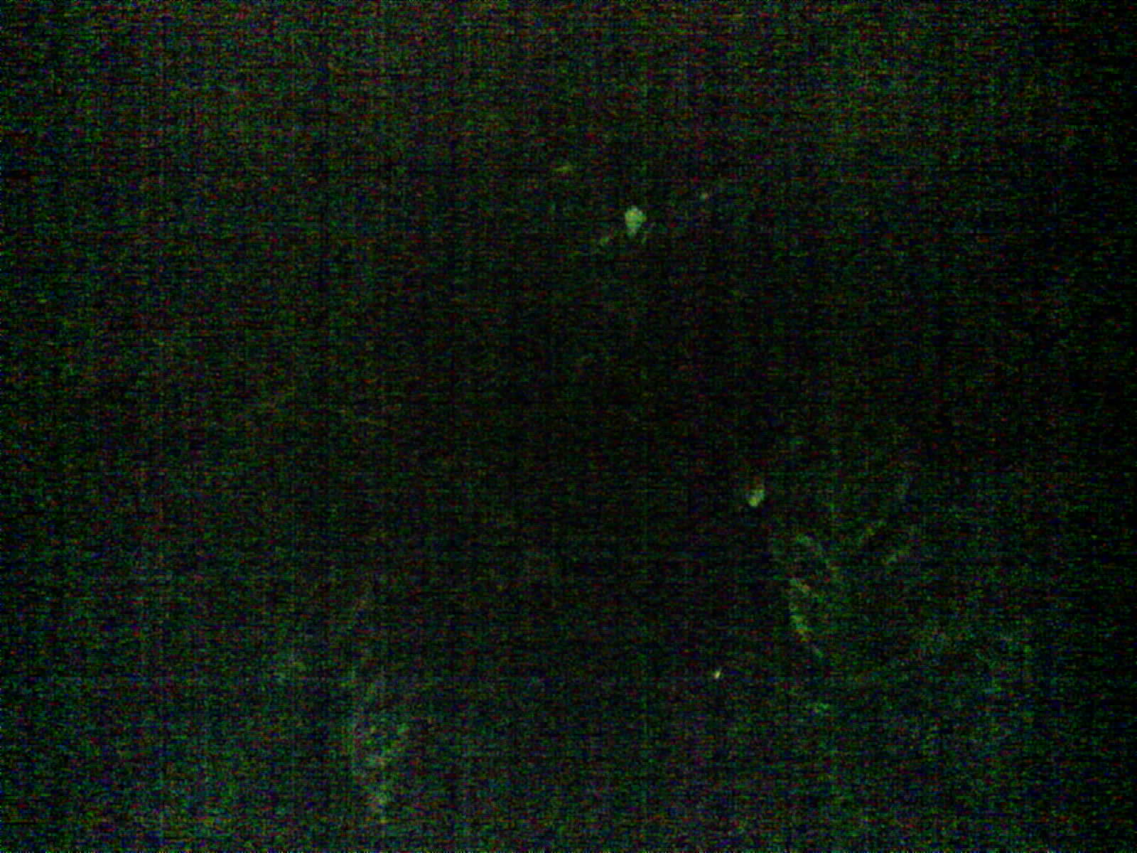 2026-05-25_20-02-05_6a14d4ed33bd1.jpg