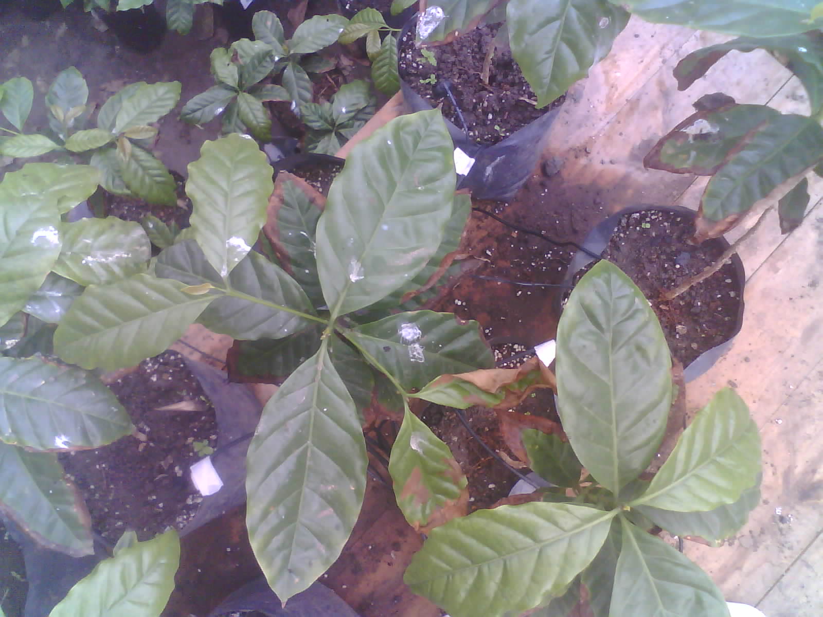 2026-05-26_09-42-53_6a15954dbaa6c.jpg