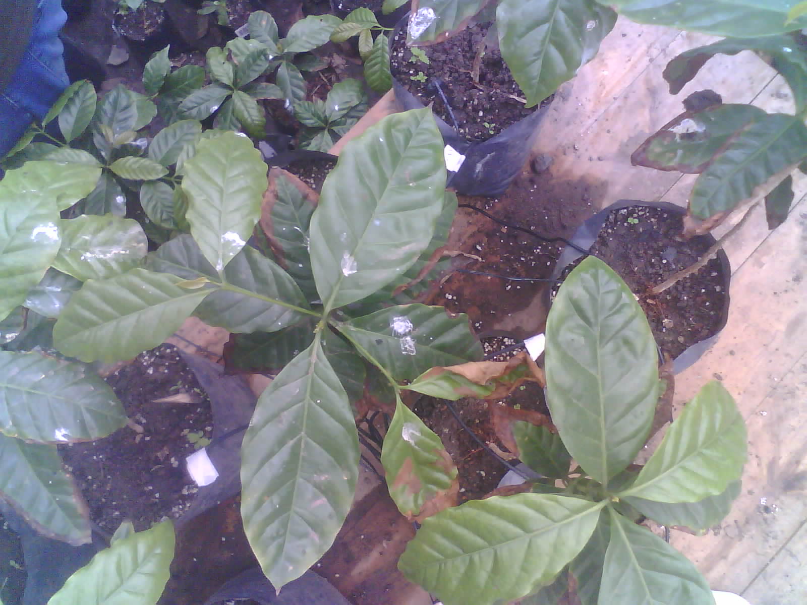 2026-05-27_11-21-22_6a16fde2ebc1a.jpg
