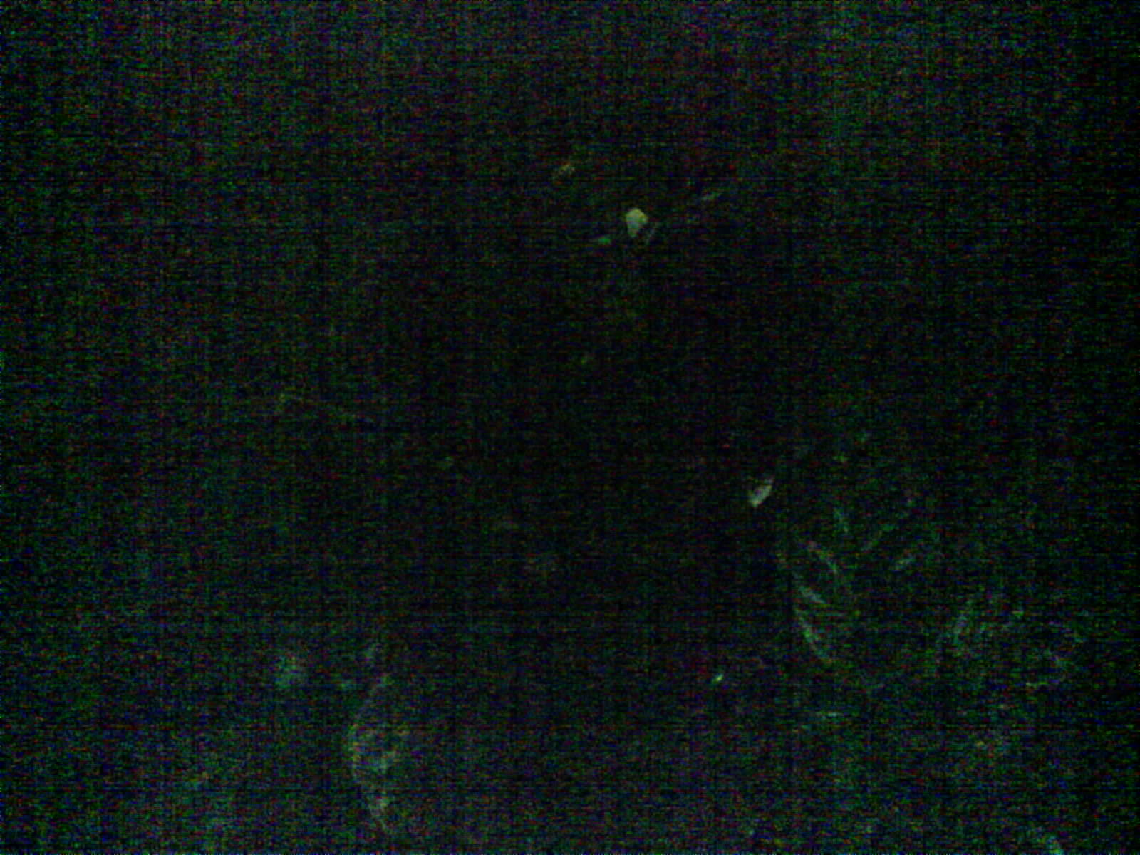 2026-05-29_20-08-54_6a1a1c86526b3.jpg