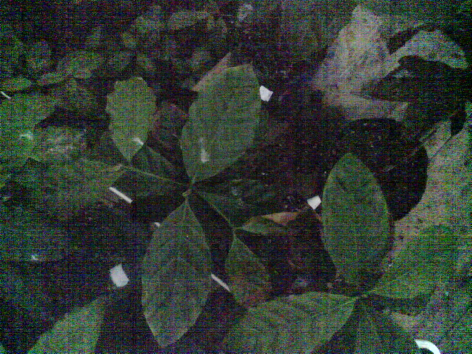 2026-05-31_07-39-44_6a1c0ff00a938.jpg