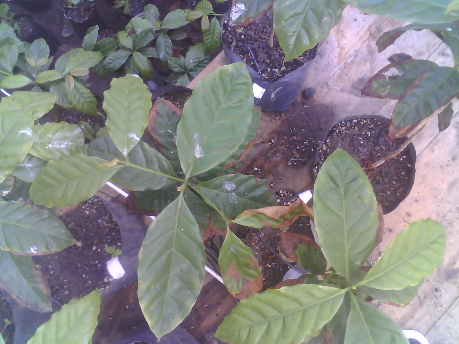 2026-05-31_09-37-14_6a1c2b7a8b3b9.jpg