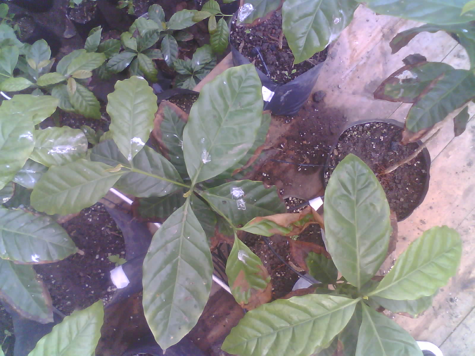 2026-05-31_10-36-09_6a1c3949c1517.jpg