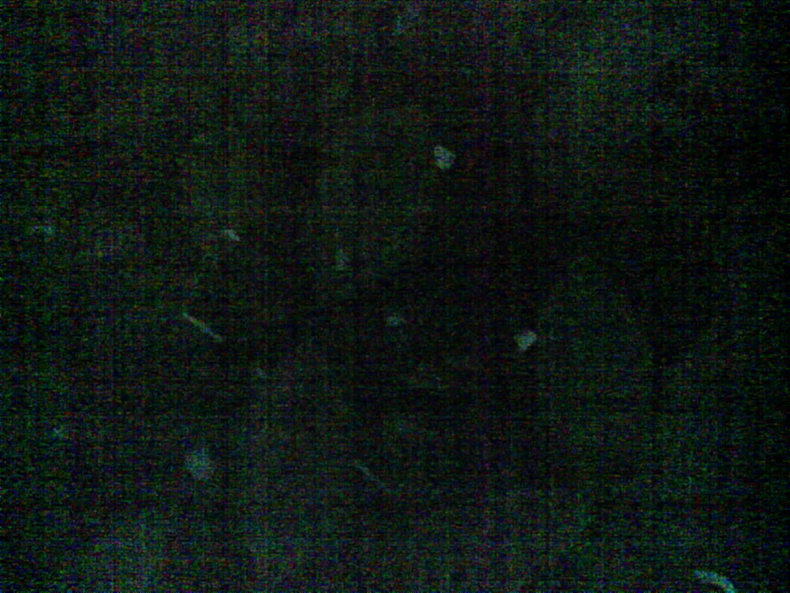 2026-06-02_18-09-42_6a1f469688135.jpg