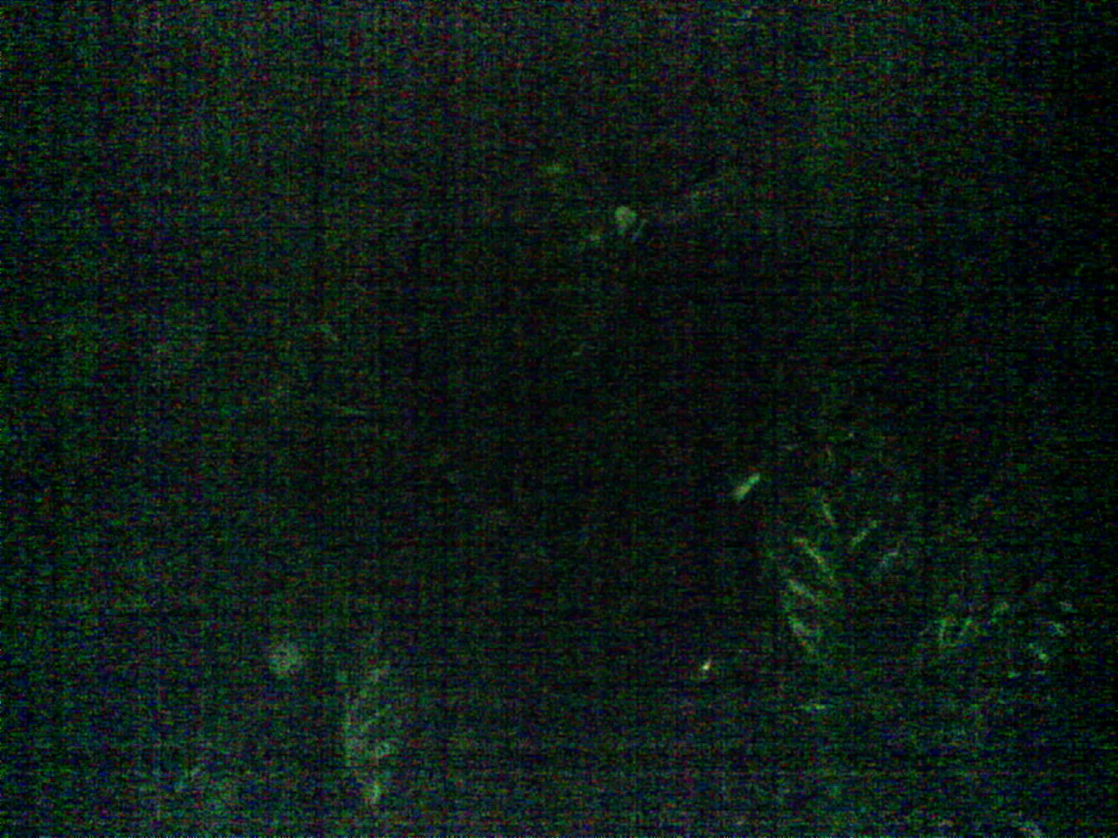 2026-06-02_19-08-22_6a1f54562f2f4.jpg