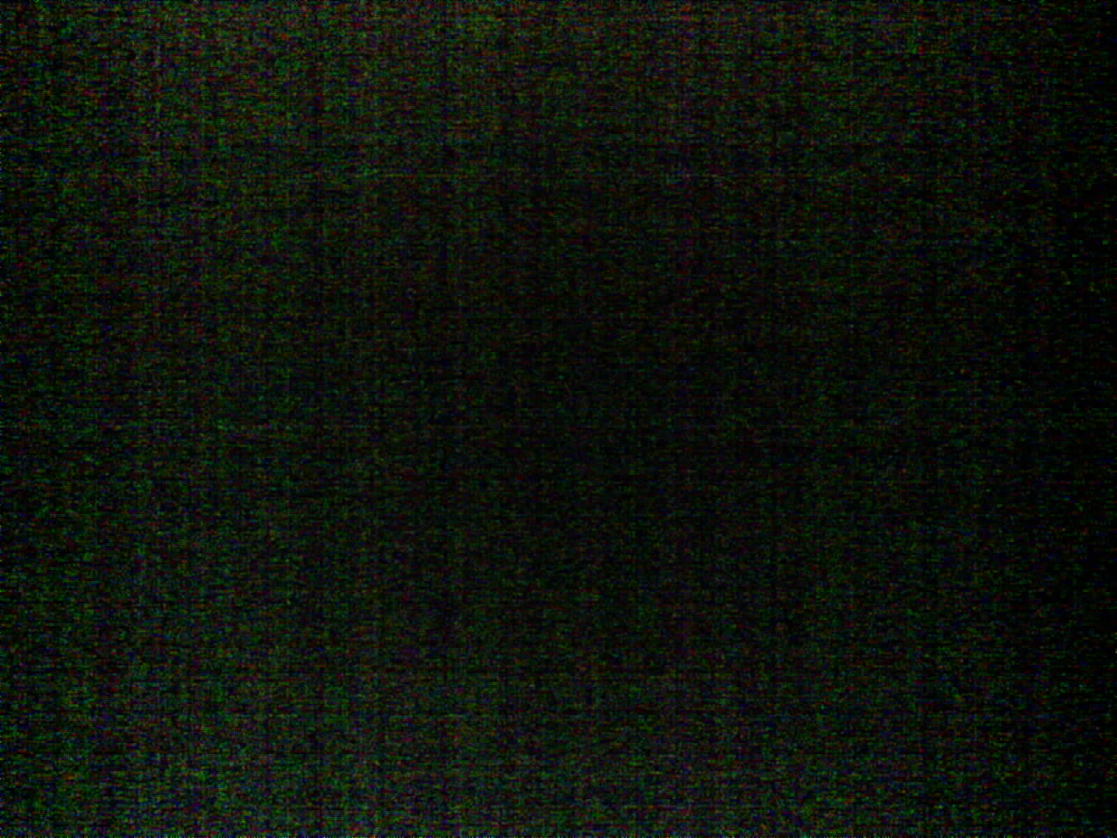 2026-06-03_04-21-10_6a1fd5e6effc7.jpg