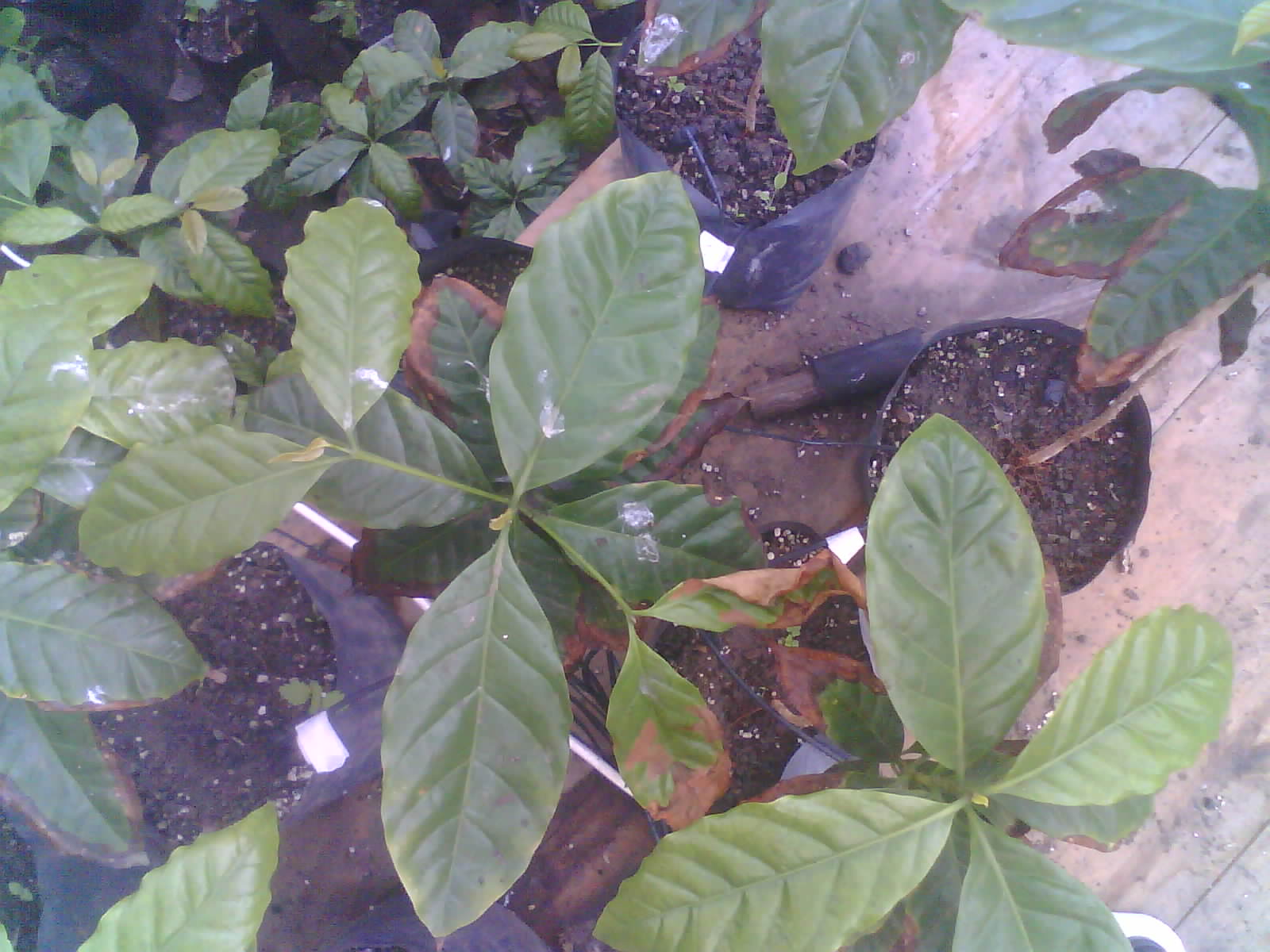 2026-06-03_08-20-10_6a200deabeb47.jpg