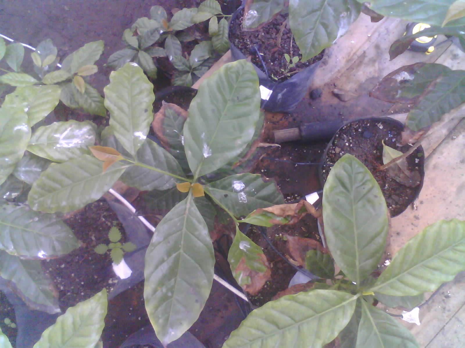 2026-06-15_08-24-59_6a2fe10b295cf.jpg