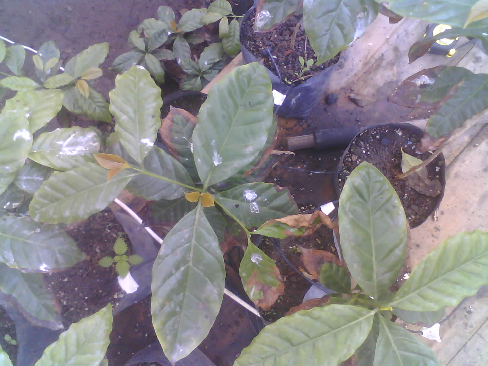 2026-06-15_09-23-49_6a2feed5a6a1e.jpg