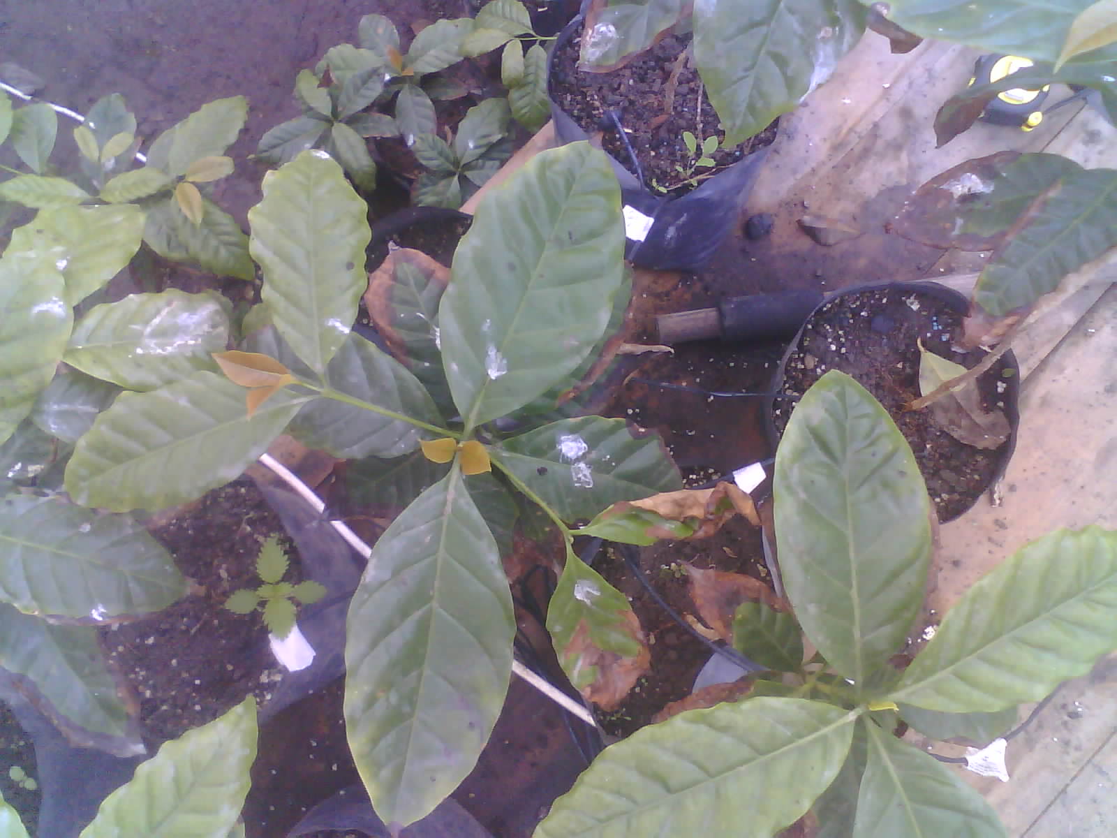 2026-06-16_09-09-33_6a313cfdeede7.jpg