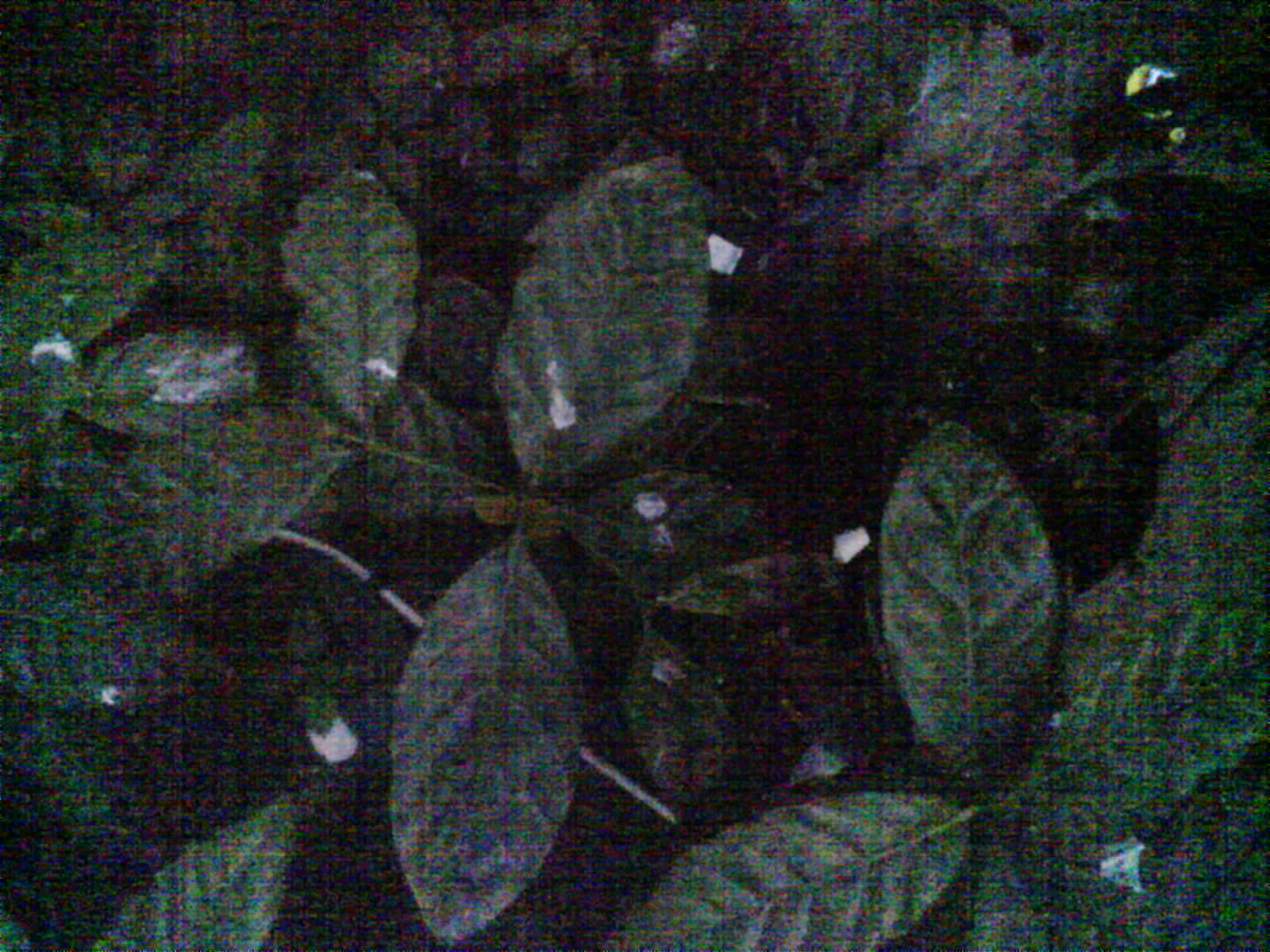 2026-06-17_18-03-58_6a330bbe570db.jpg
