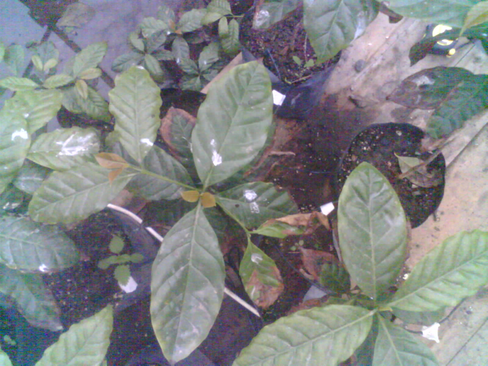 2026-06-18_17-17-07_6a3452431478b.jpg
