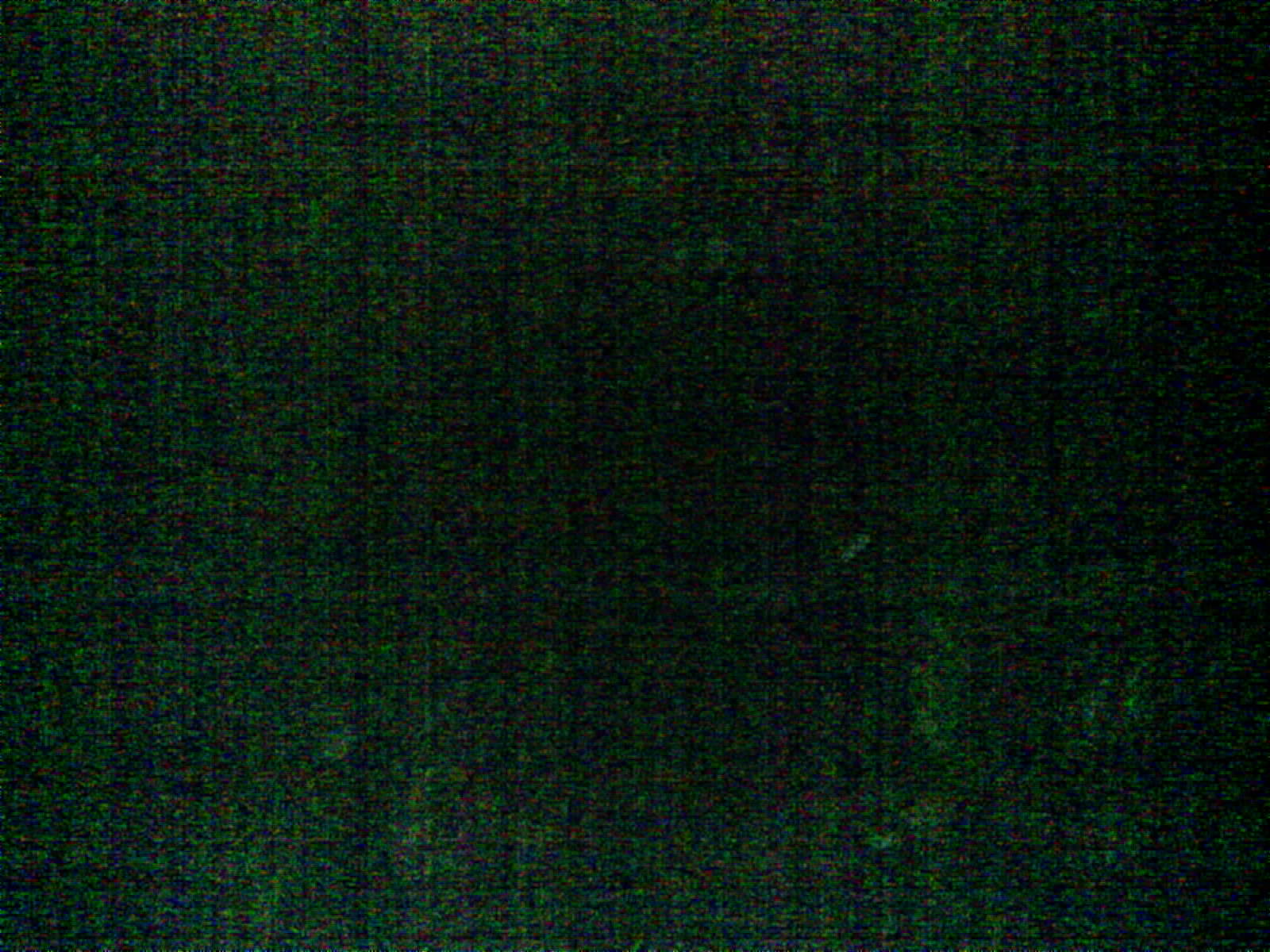 2026-06-20_19-23-23_6a3712db59b50.jpg