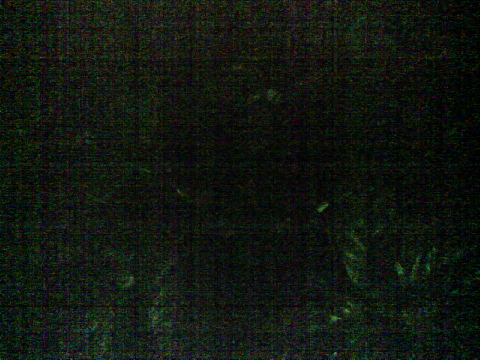 2026-06-21_19-53-58_6a386b863c653.jpg