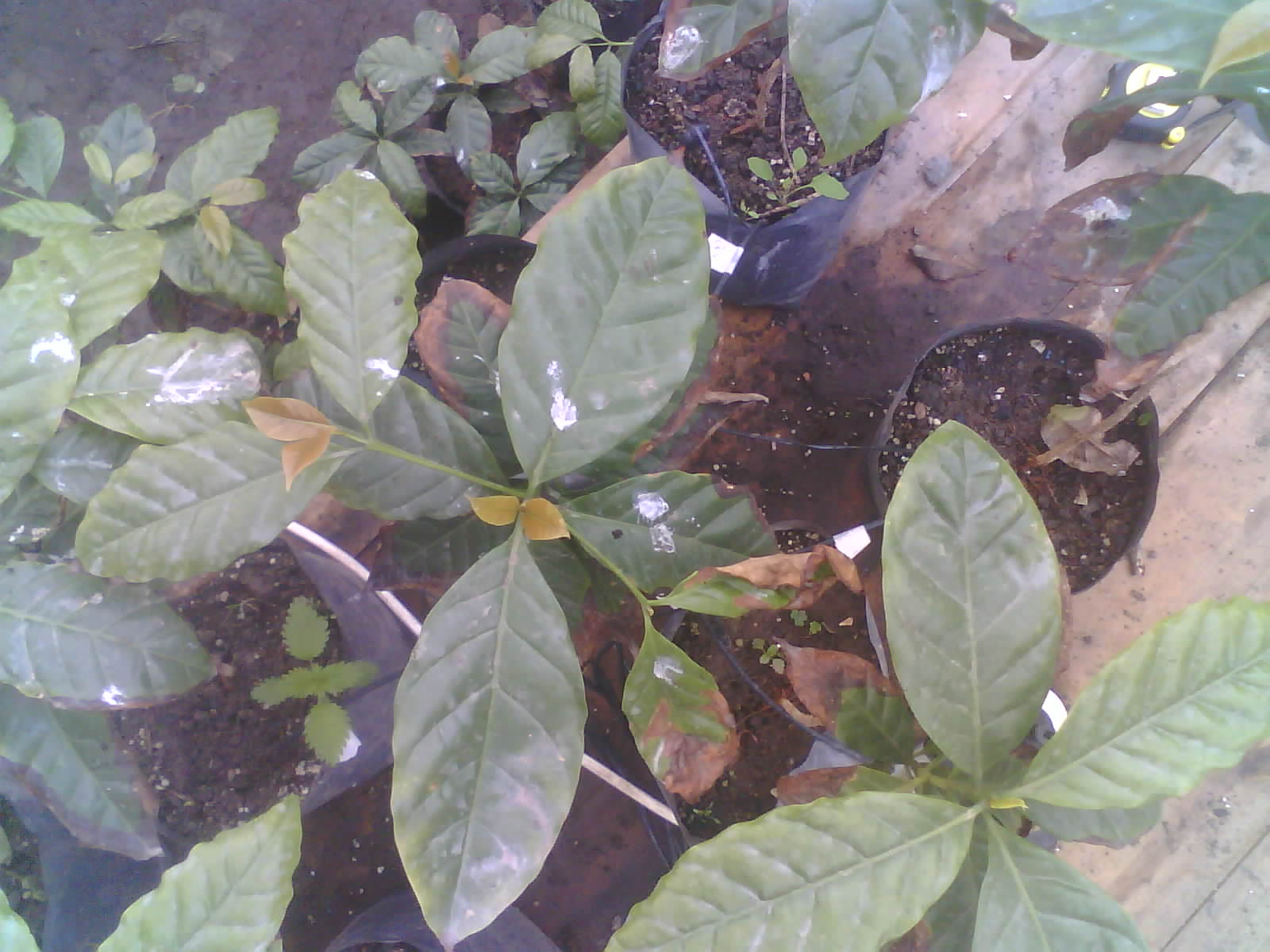 2026-06-22_08-49-32_6a39214c48222.jpg