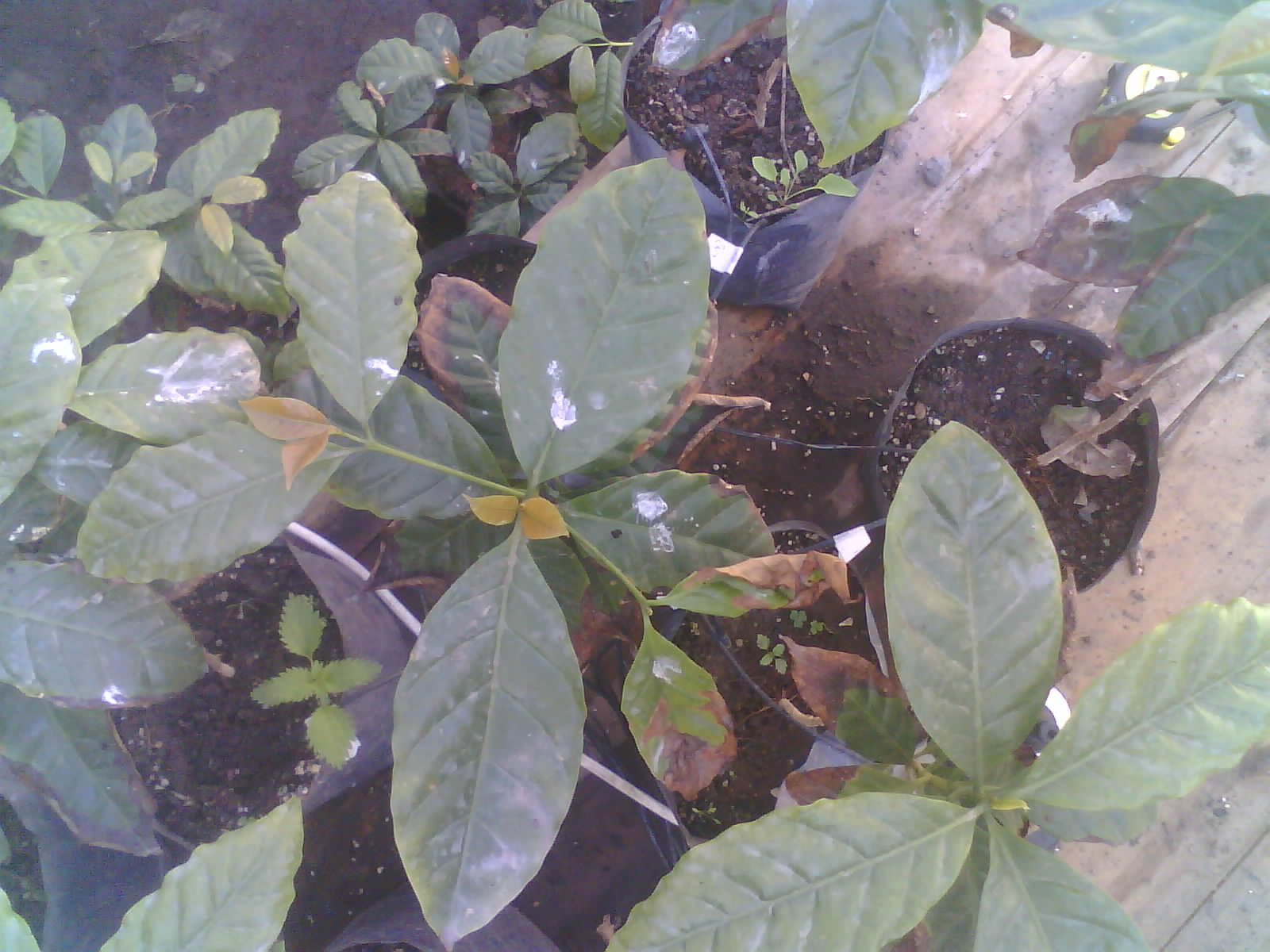 2026-06-23_12-17-16_6a3aa37c38ebd.jpg